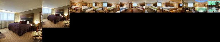 Sofitel London Heathrow